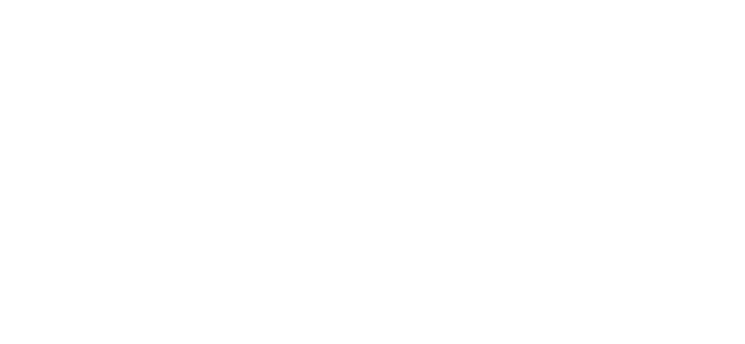 Festival do Rio