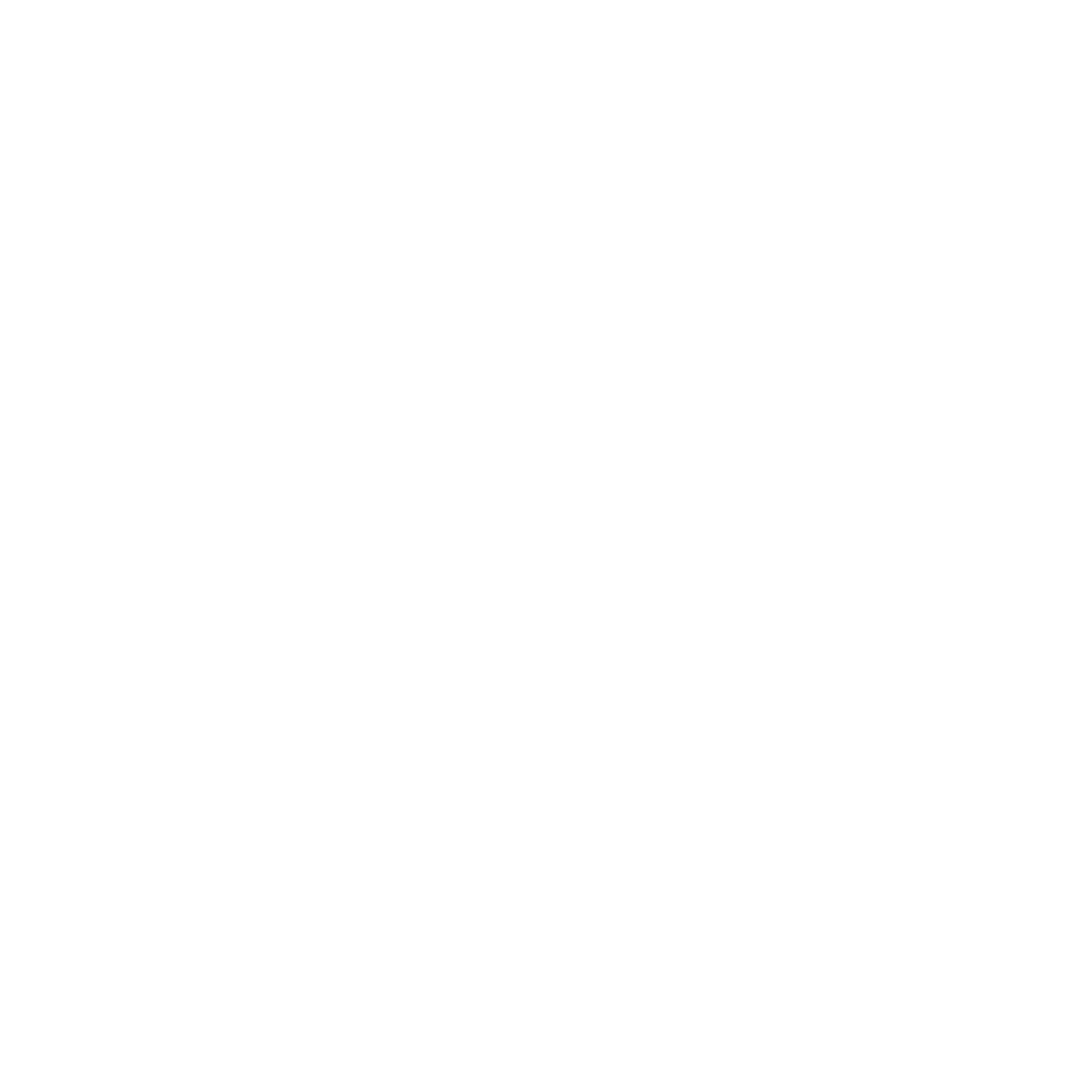 Brain